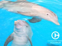 CMA- Winter and Hope